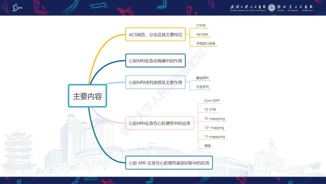 影像PPT - 【PPT】心脏MRI在急诊胸痛患者中的应用-2