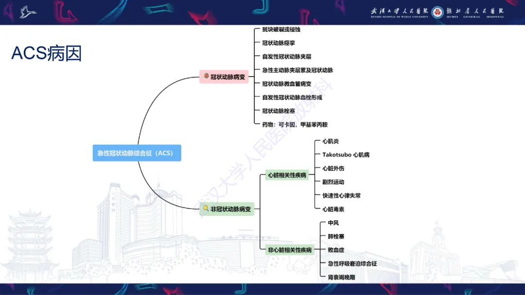 影像PPT - 【PPT】心脏MRI在急诊胸痛患者中的应用-5