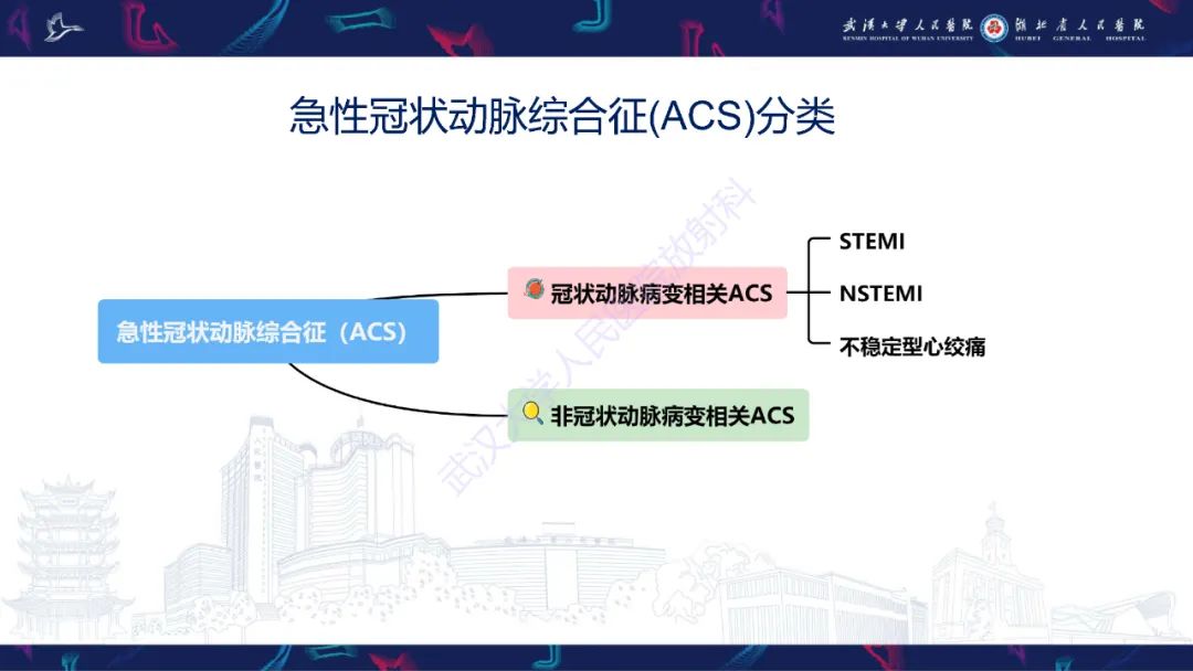 影像PPT - 【PPT】心脏MRI在急诊胸痛患者中的应用-6