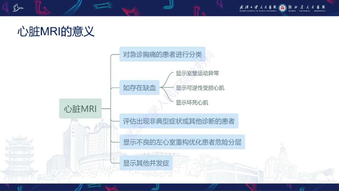 影像PPT - 【PPT】心脏MRI在急诊胸痛患者中的应用-10