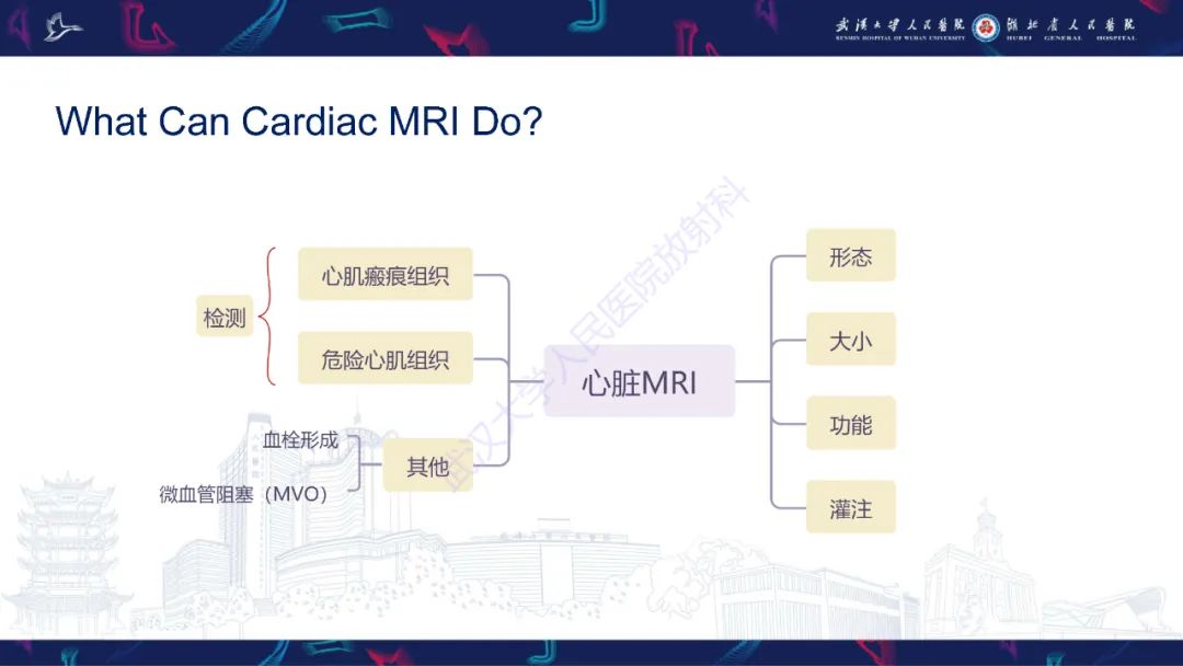 影像PPT - 【PPT】心脏MRI在急诊胸痛患者中的应用-12