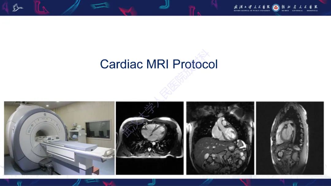 影像PPT - 【PPT】心脏MRI在急诊胸痛患者中的应用-13