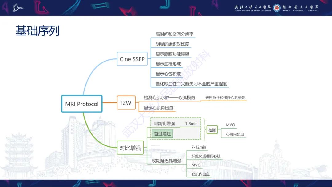 影像PPT - 【PPT】心脏MRI在急诊胸痛患者中的应用-17