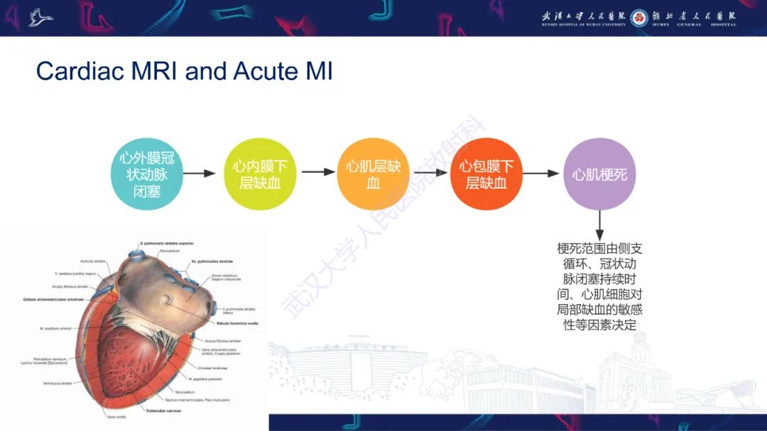 影像PPT - 【PPT】心脏MRI在急诊胸痛患者中的应用-19