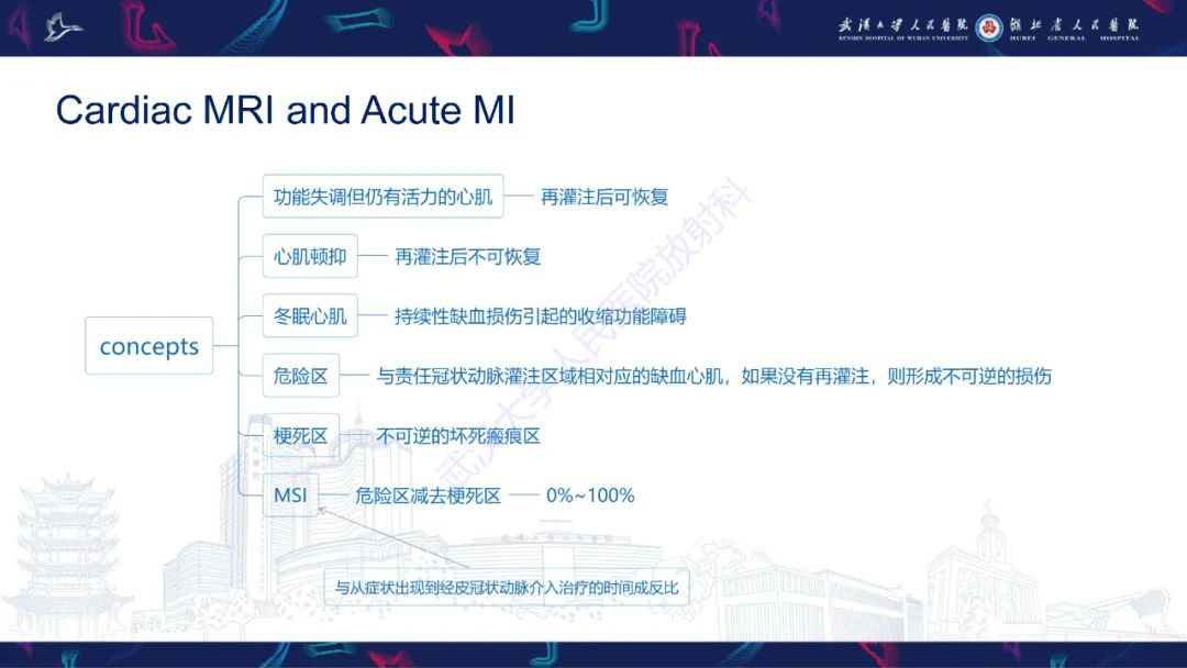 影像PPT - 【PPT】心脏MRI在急诊胸痛患者中的应用-20