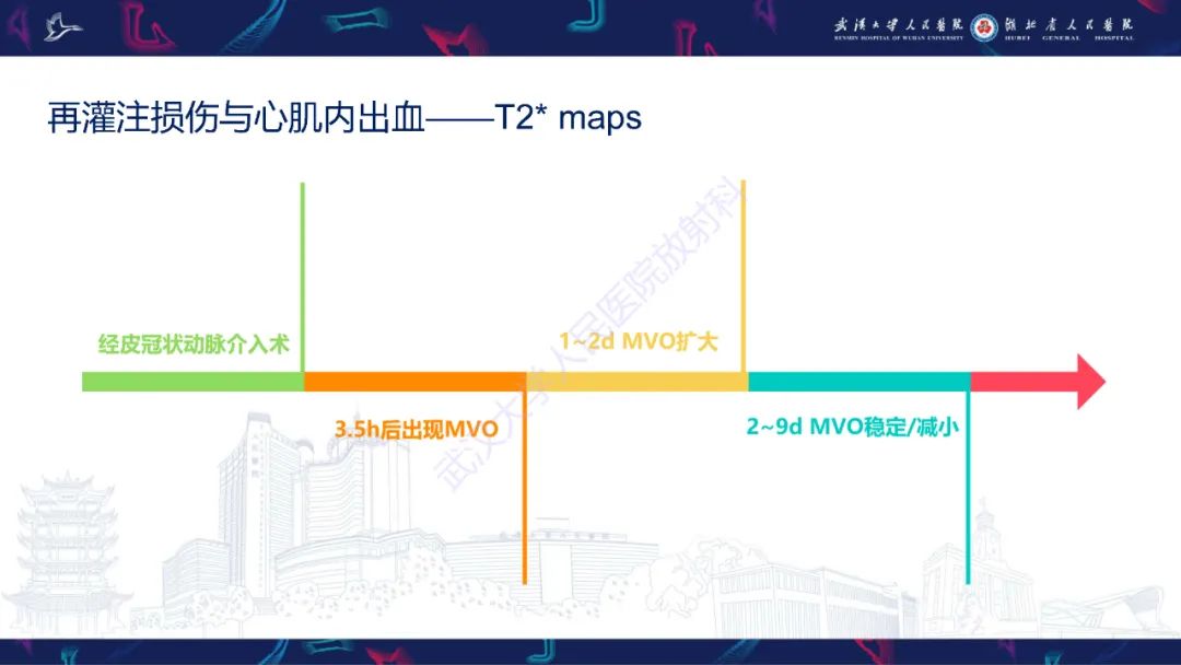 影像PPT - 【PPT】心脏MRI在急诊胸痛患者中的应用-44