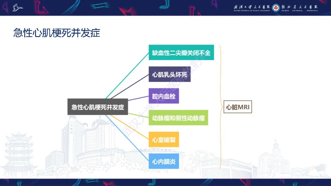 影像PPT - 【PPT】心脏MRI在急诊胸痛患者中的应用-53