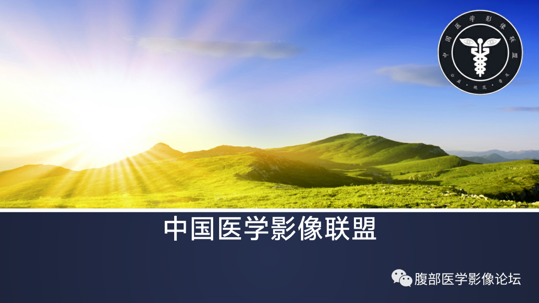 影像PPT - 【病例】肝脏炎性肌纤维母细胞瘤1例MR影像-1