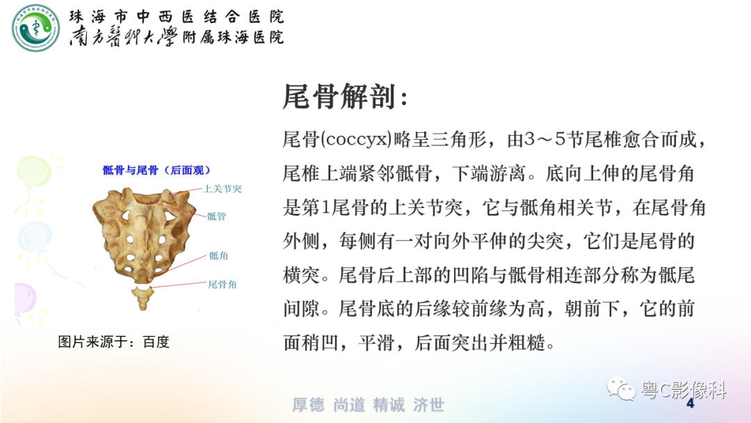 影像PPT - 【PPT】骶尾骨正侧位X线摄影-4