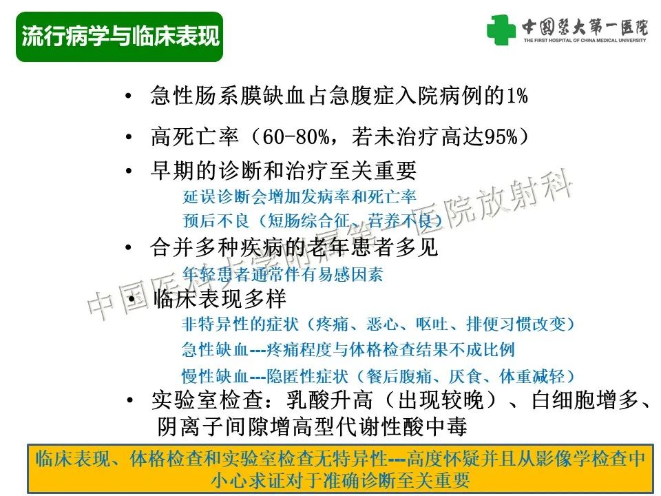影像PPT - 【PPT】CT诊断肠系膜缺血的要点、误区与鉴别诊断-5