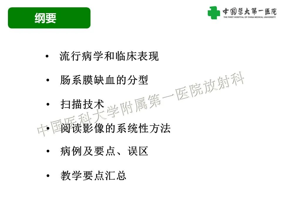 影像PPT - 【PPT】CT诊断肠系膜缺血的要点、误区与鉴别诊断-2