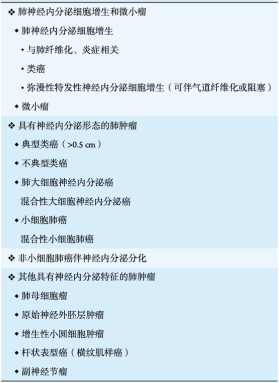 影像PPT - 【病例】支气管神经内分泌癌1例CT影像-47 影像PPT - 【病例】支气管神经内分泌癌1例CT影像-47
