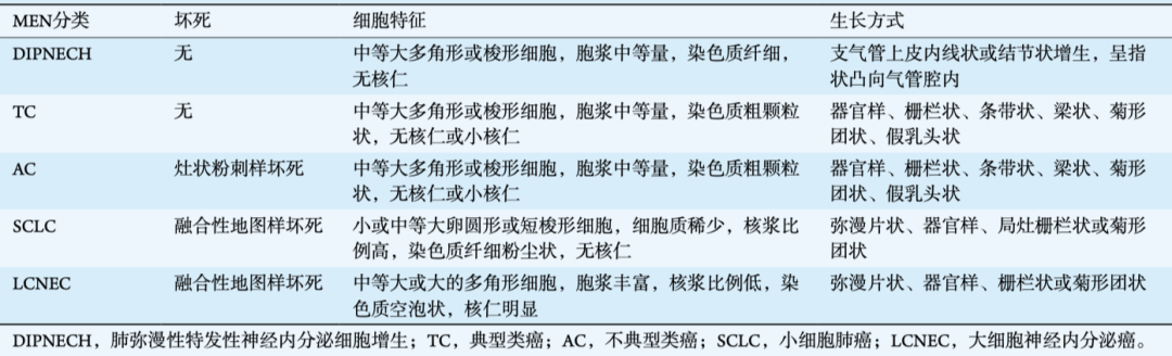 影像PPT - 【病例】支气管神经内分泌癌1例CT影像-49 影像PPT - 【病例】支气管神经内分泌癌1例CT影像-49