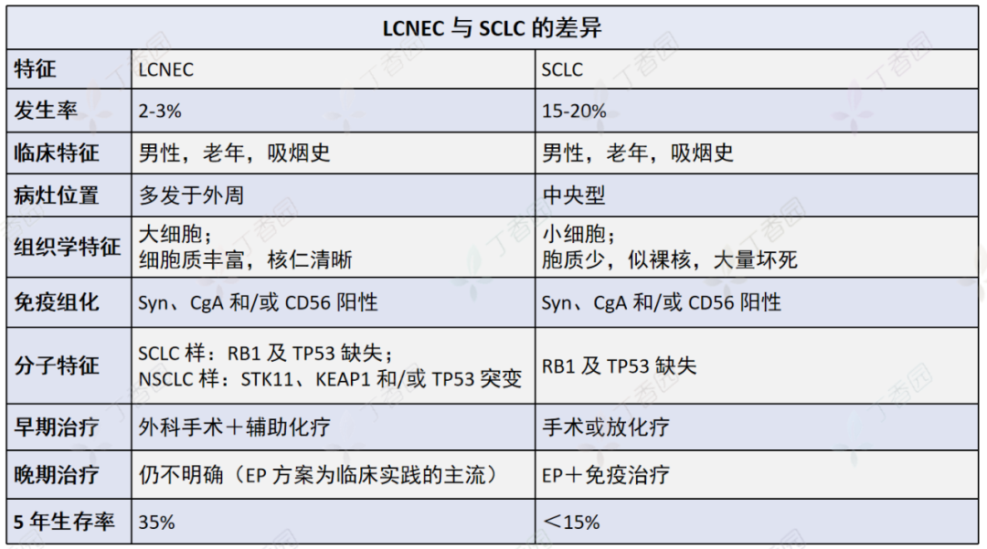 影像PPT - 【病例】支气管神经内分泌癌1例CT影像-51 影像PPT - 【病例】支气管神经内分泌癌1例CT影像-51