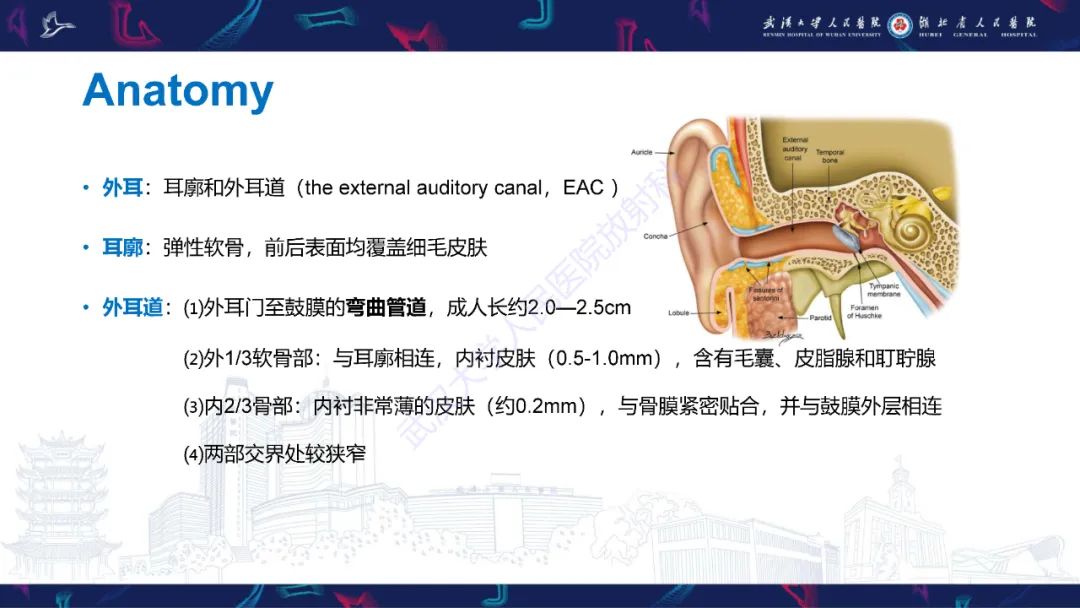 影像PPT - 【PPT】外耳道胆脂瘤影像诊断-4