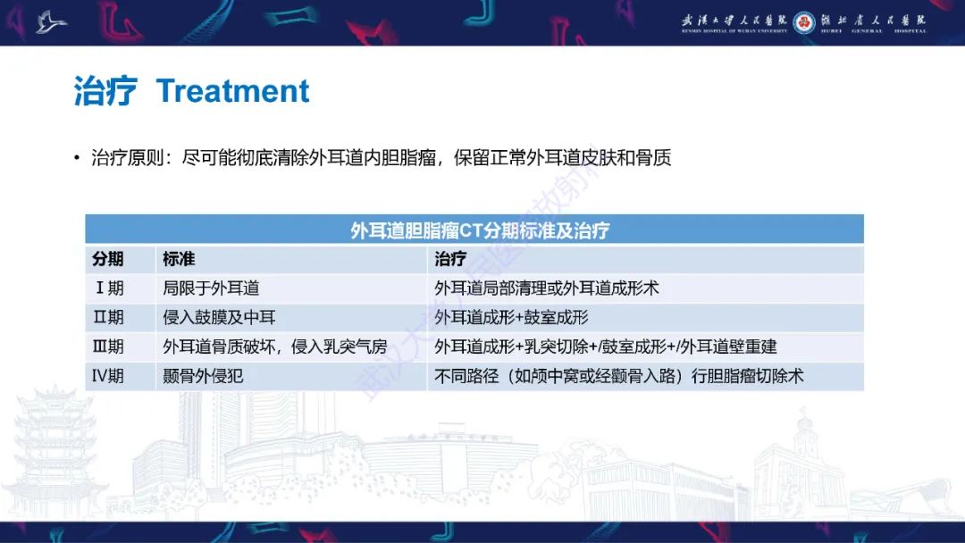 影像PPT - 【PPT】外耳道胆脂瘤影像诊断-19