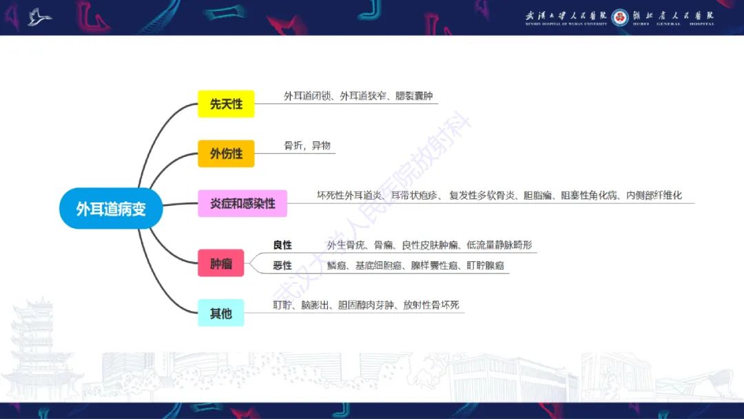 影像PPT - 【PPT】外耳道胆脂瘤影像诊断-31