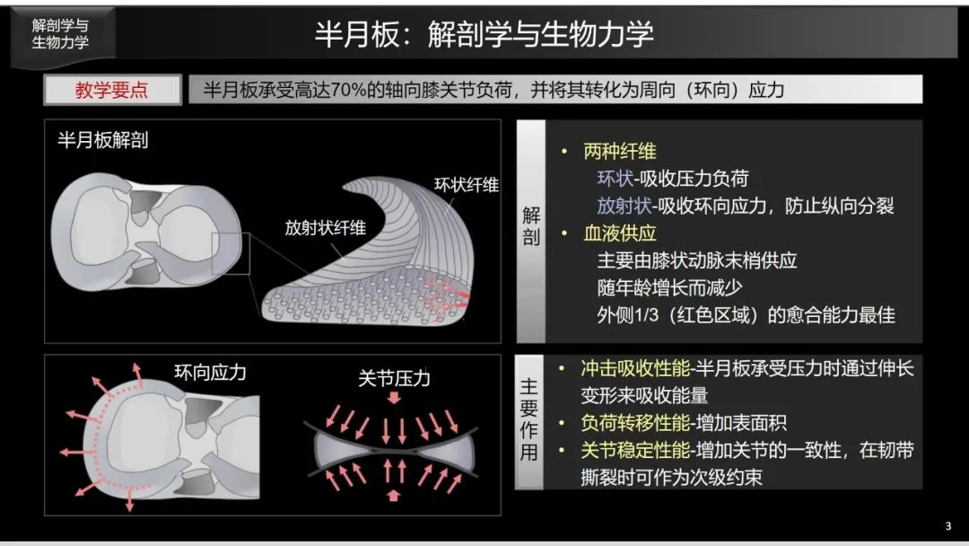影像PPT - 【PPT】半月板根部,Ramp区,修复,及其后遗症-6 影像PPT - 【PPT】半月板根部,Ramp区,修复,及其后遗症-6