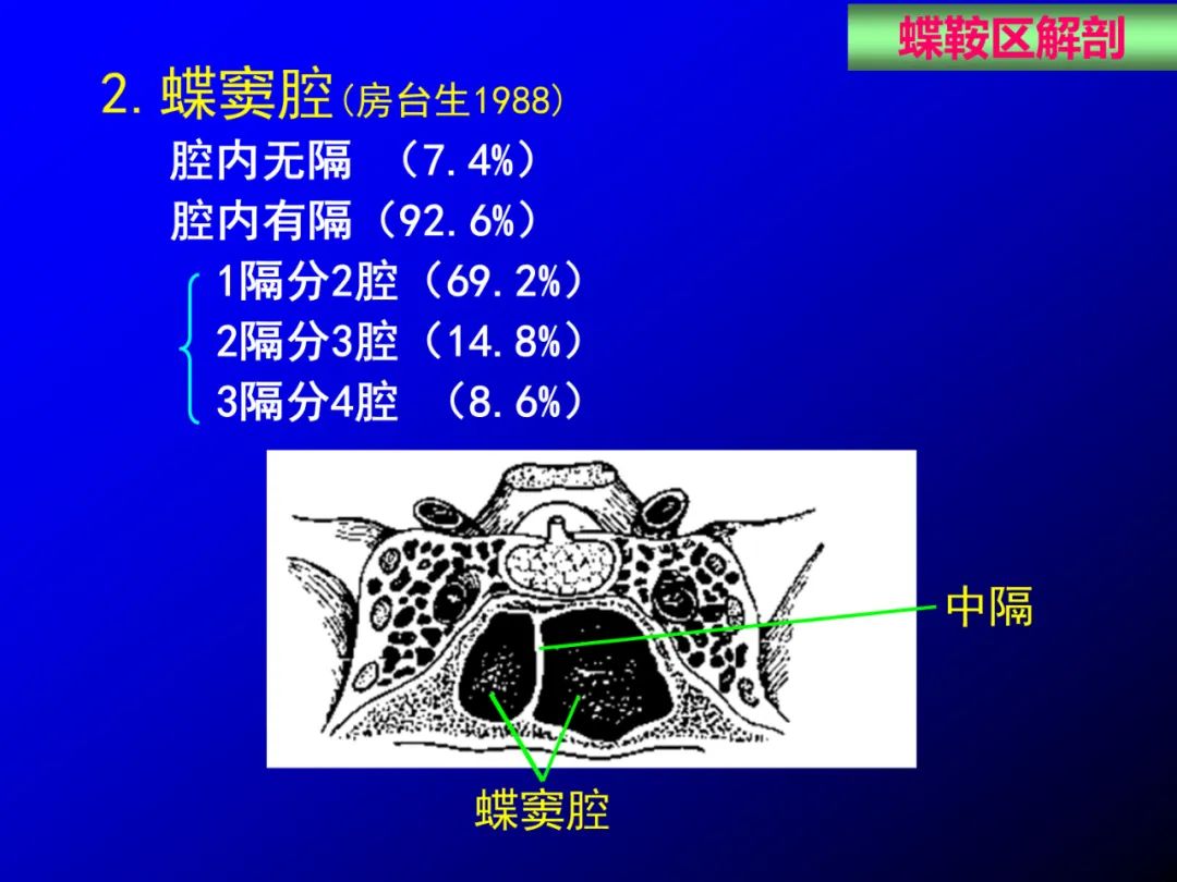 影像PPT - 【PPT】蝶鞍区断层解剖与影像对照-14