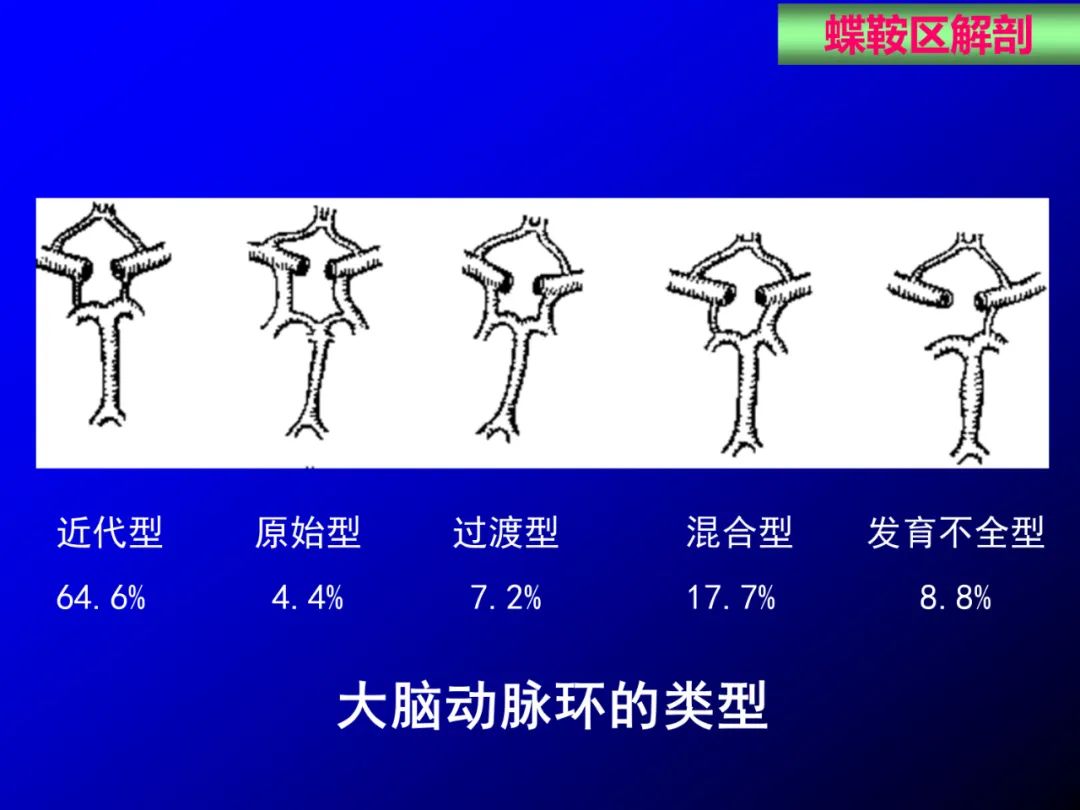 影像PPT - 【PPT】蝶鞍区断层解剖与影像对照-29