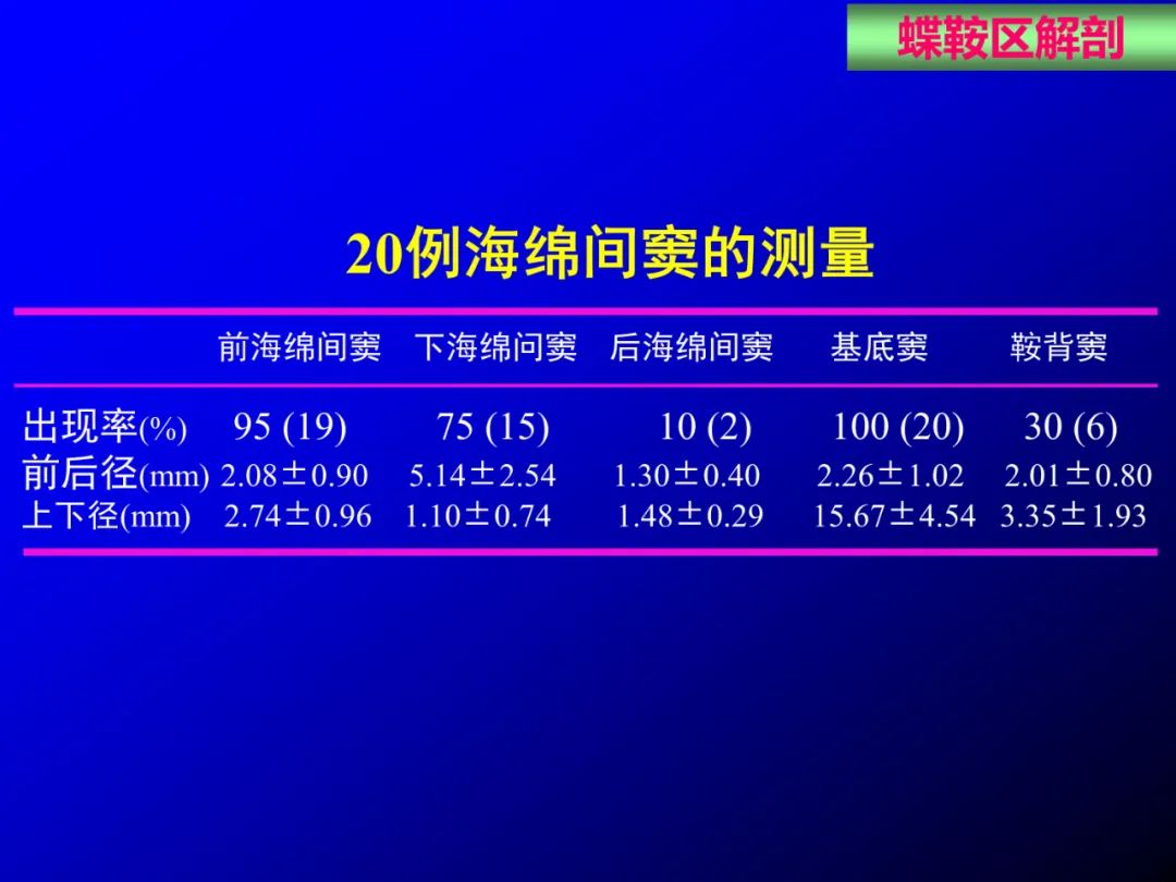 影像PPT - 【PPT】蝶鞍区断层解剖与影像对照-25