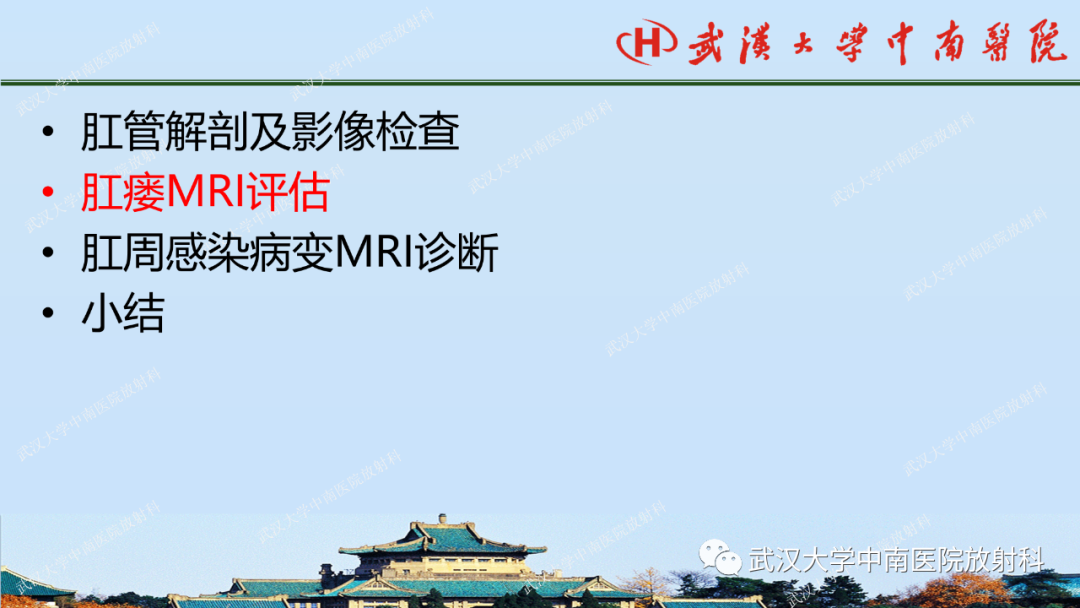 影像PPT - 【PPT】肛瘘及肛周感染病变的影像诊断-12