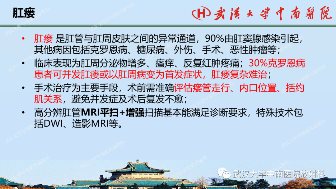影像PPT - 【PPT】肛瘘及肛周感染病变的影像诊断-13
