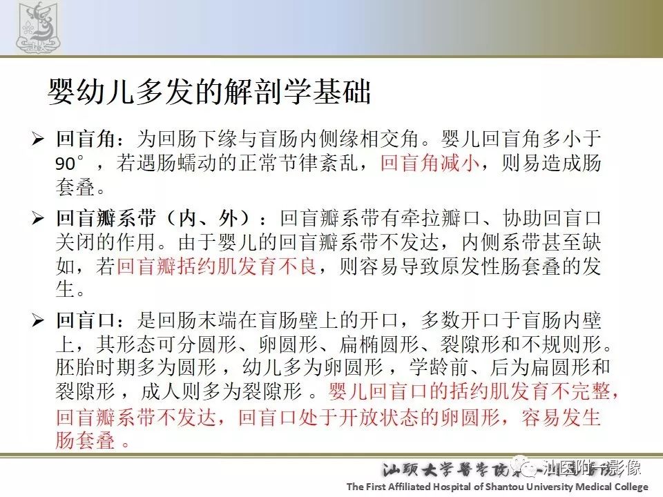 影像PPT - 【PPT】肠套叠影像学诊断-7