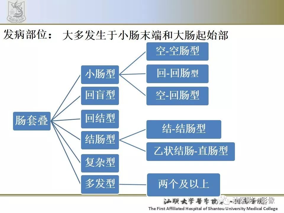 影像PPT - 【PPT】肠套叠影像学诊断-10