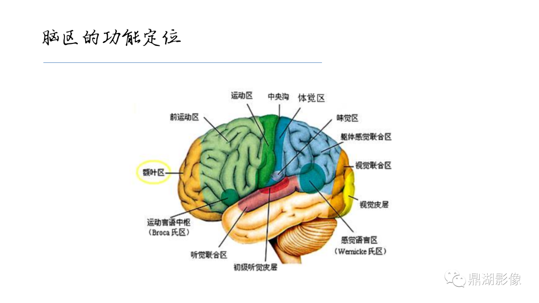 影像PPT - 【PPT】准确识别MR大脑解剖结构的诊断价值-6