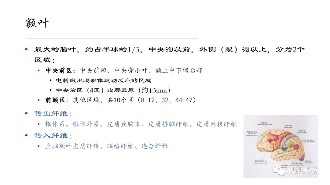 影像PPT - 【PPT】准确识别MR大脑解剖结构的诊断价值-8