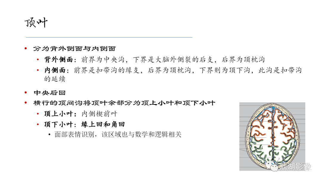 影像PPT - 【PPT】准确识别MR大脑解剖结构的诊断价值-23
