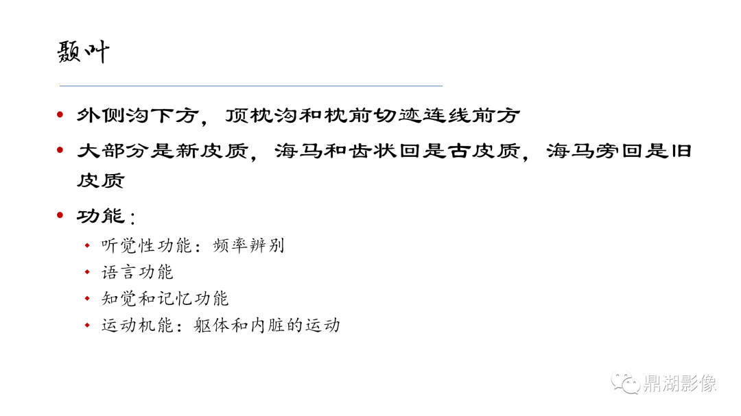影像PPT - 【PPT】准确识别MR大脑解剖结构的诊断价值-43