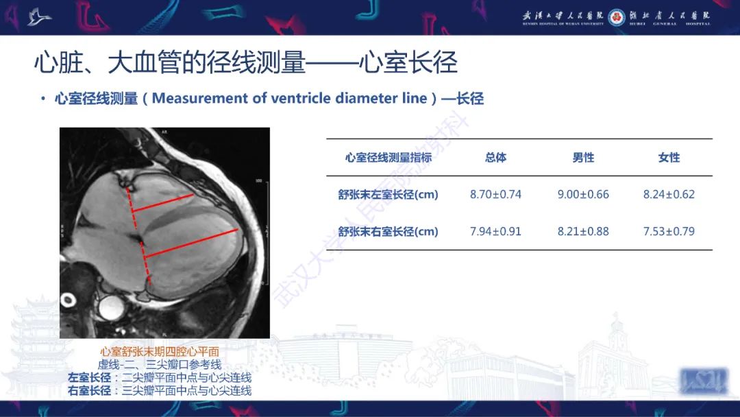 影像PPT - 【PPT】心脏磁共振临床应用-12