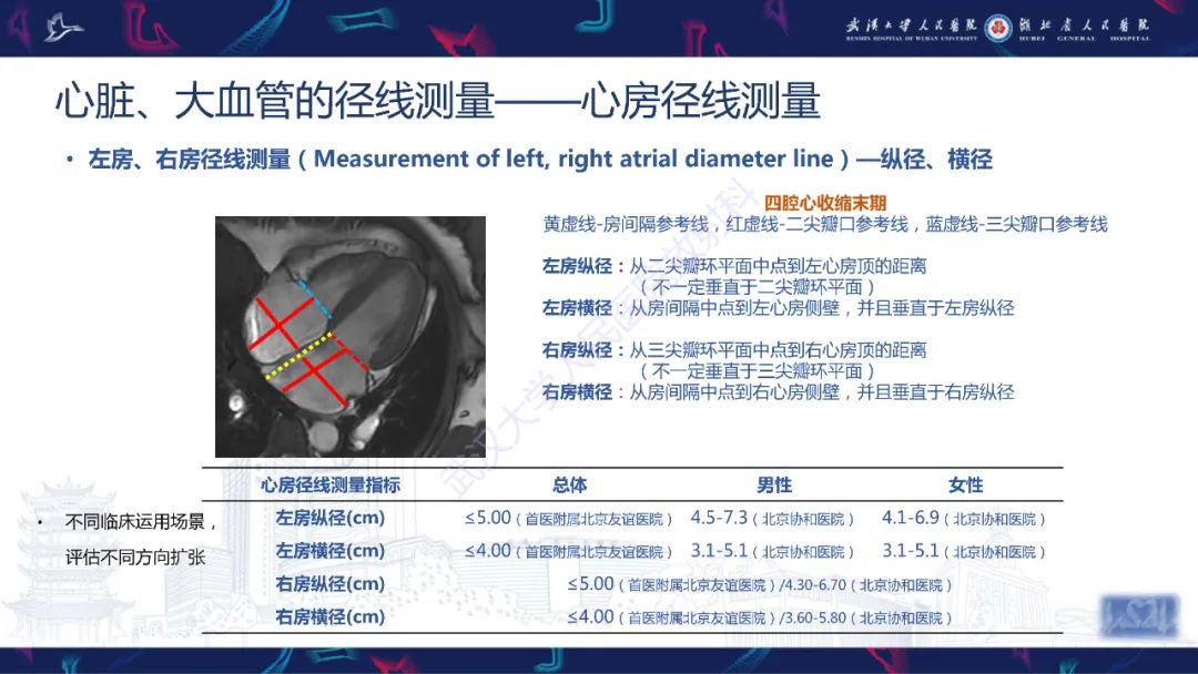 影像PPT - 【PPT】心脏磁共振临床应用-9