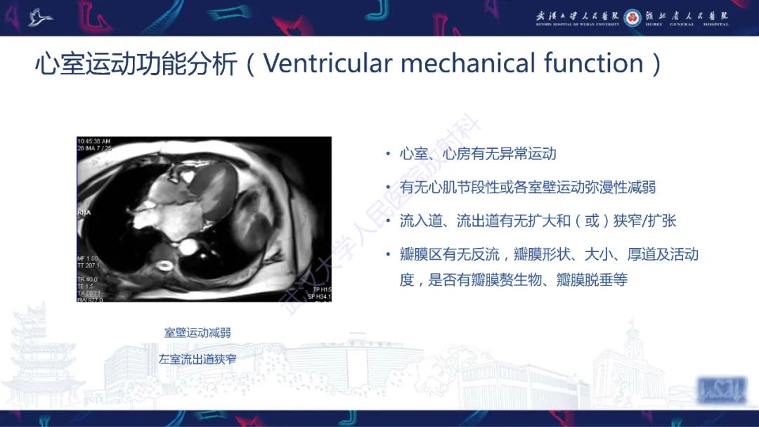 影像PPT - 【PPT】心脏磁共振临床应用-15