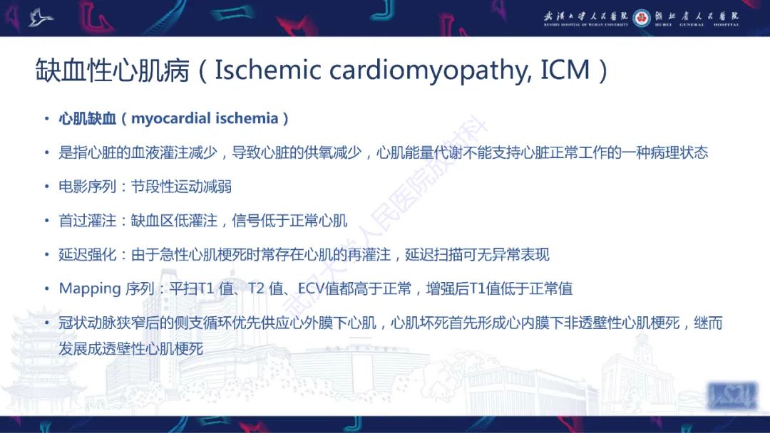 影像PPT - 【PPT】心脏磁共振临床应用-28