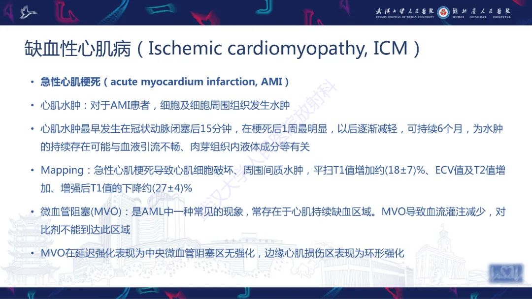 影像PPT - 【PPT】心脏磁共振临床应用-30