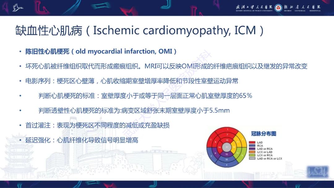 影像PPT - 【PPT】心脏磁共振临床应用-31
