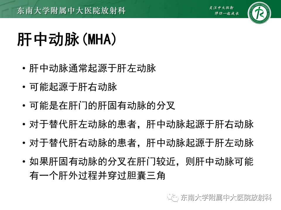 影像PPT - 【PPT】肝动脉变异-13