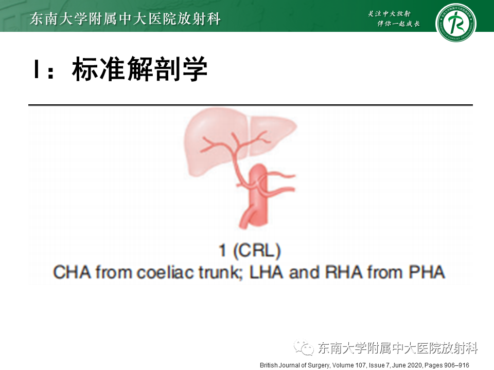 影像PPT - 【PPT】肝动脉变异-16