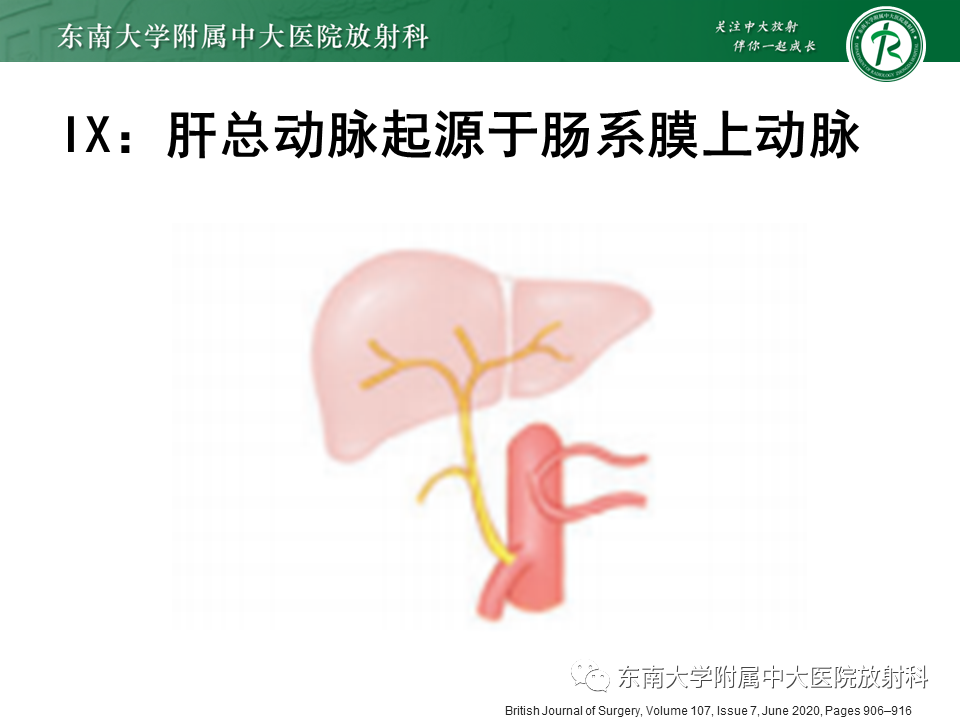 影像PPT - 【PPT】肝动脉变异-30