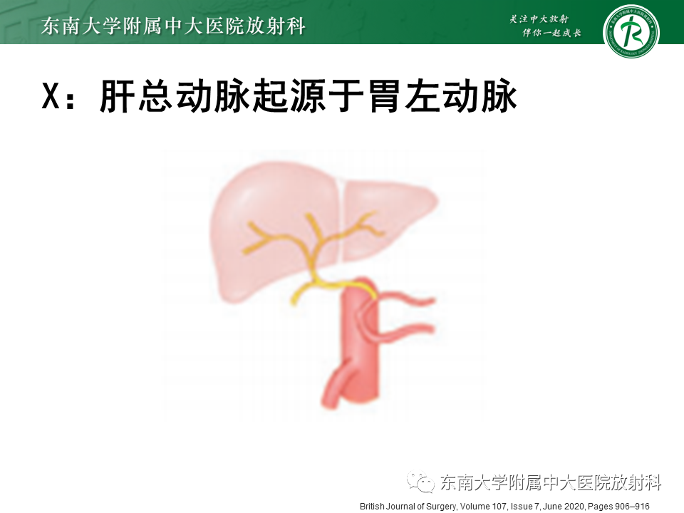 影像PPT - 【PPT】肝动脉变异-33