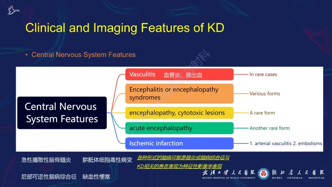 影像PPT - 【PPT】川崎病多系统受累影像诊断-6