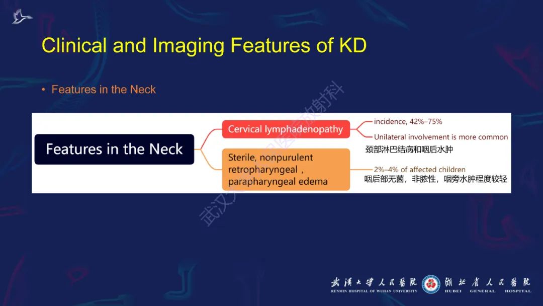 影像PPT - 【PPT】川崎病多系统受累影像诊断-10