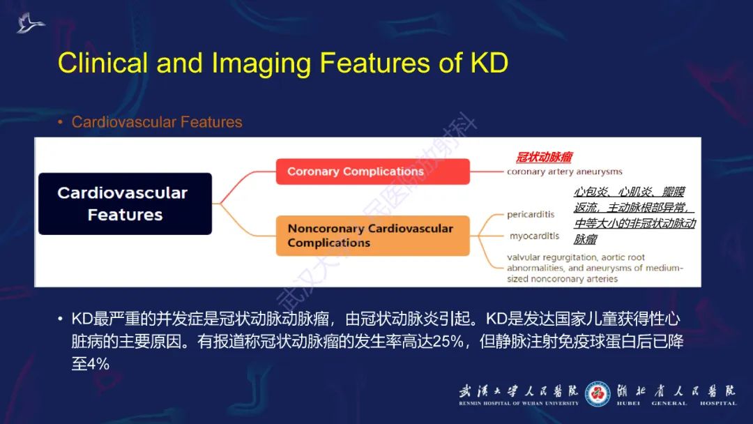影像PPT - 【PPT】川崎病多系统受累影像诊断-14