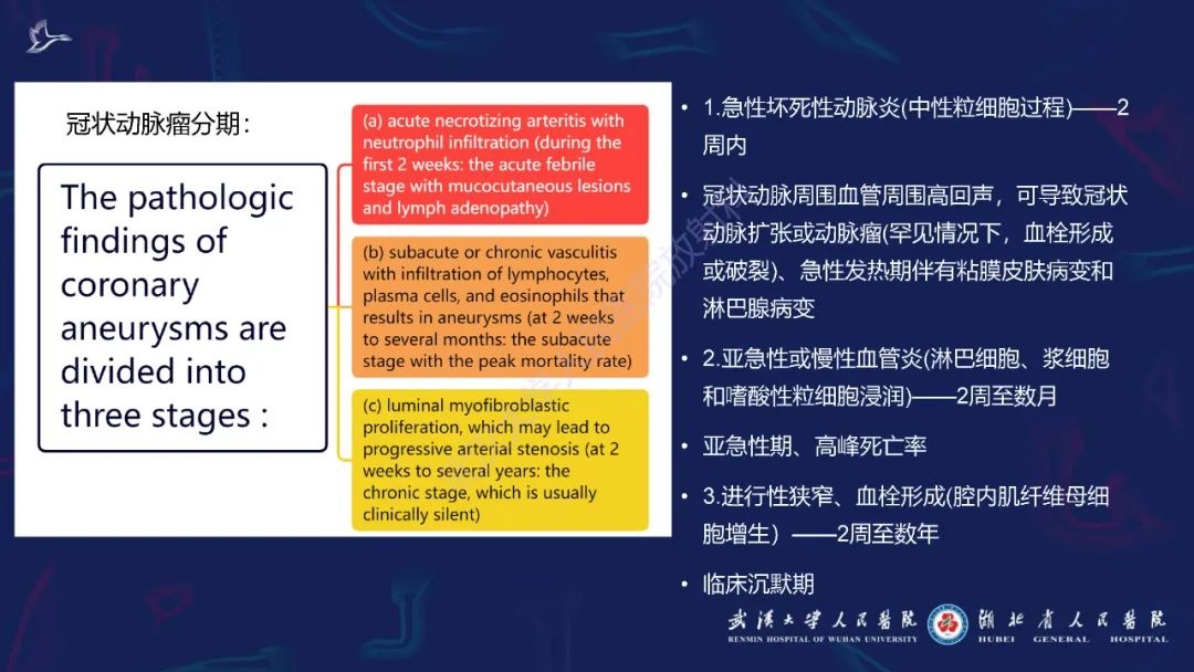 影像PPT - 【PPT】川崎病多系统受累影像诊断-15