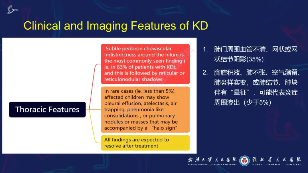 影像PPT - 【PPT】川崎病多系统受累影像诊断-21