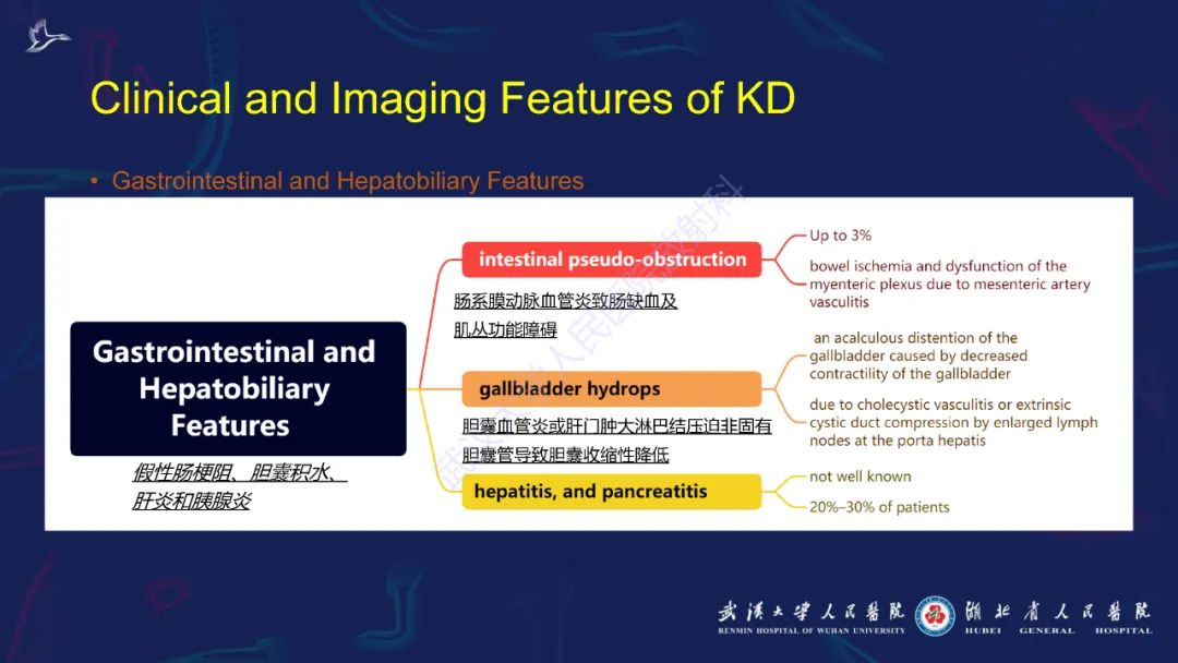 影像PPT - 【PPT】川崎病多系统受累影像诊断-24