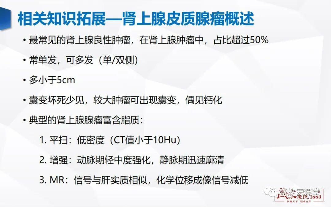 影像PPT - 【PPT】肾上腺增生 肾上腺腺瘤-25 影像PPT - 【PPT】肾上腺增生 肾上腺腺瘤-25